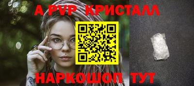 крисы Камышлов