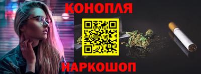 крисы Камышлов