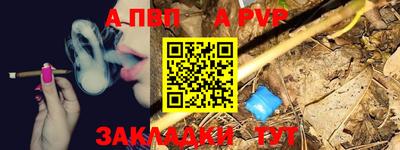 крисы Камышлов