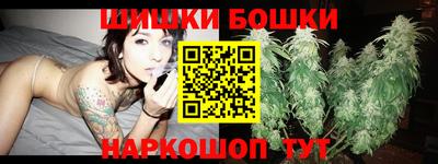 крисы Камышлов