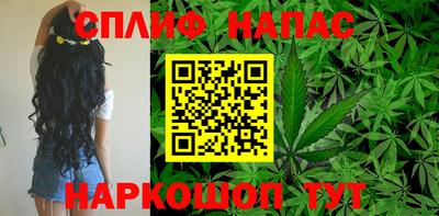крисы Камышлов