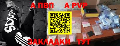 крисы Камышлов