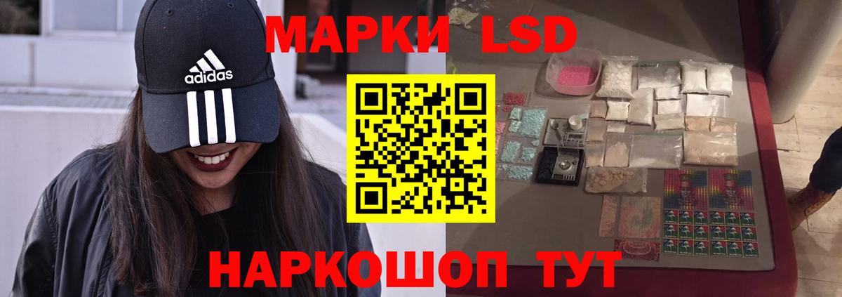 Псилоцибиновые грибы Щёкино