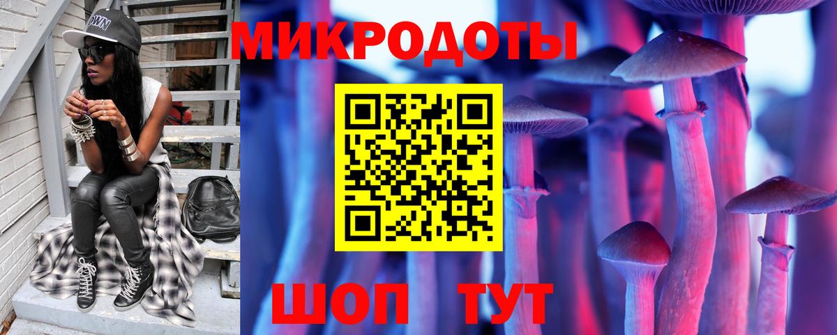 Галлюциногенные грибы Psilocybe  Псилоцибиновые грибы прущие грибы  Щёкино  Вход с VPN 