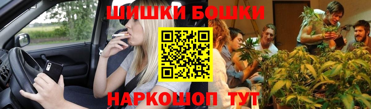 Бошки Шишки планчик Щёкино
